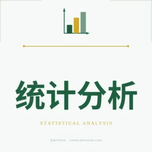 统计分析专业服务