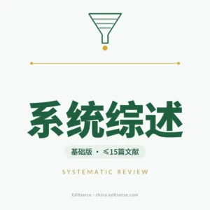 系统综述全程服务基础版产品图 — PRISMA 2020流程、双人独立筛选与证据整合，≤15篇文献规模
